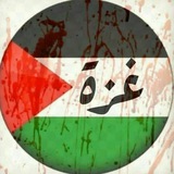 Palestine news 24