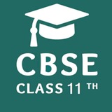 class 11th sample papers df