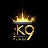 K9WIN