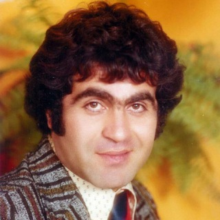 جمشید نجفی