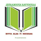 JECHOOTA HAYYOOTAA