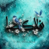 『 فِــلاڪــا 』