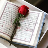 اٌلٌقٌٍْرًٌٍاًٌٍنًٌٍ اٌلٌكٌٍْرًٌٍيًٌٍمًٌٍ || سٌٍْوًٌٍرًٌٍةًٌٍ اٌلٌبًٌٍقًٌٍرًٌٍةًٌٍ كًٌٍاًٌٍمًٌٍلًٌٍةًٌٍ
