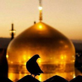قناة فيديوهات دينيه حسينية