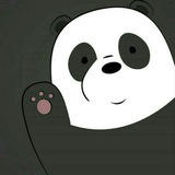ู๐๐ผPanda | ุญูุงูุงุช