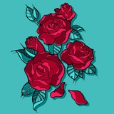 BLACK ROSE OFFICIAL PREDICTION