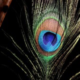 Notifications - News Updates!!