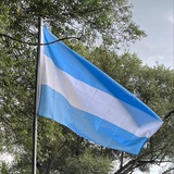 Verdisian Government Updates