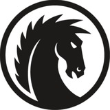 The Dark Horse-UPSC CSE