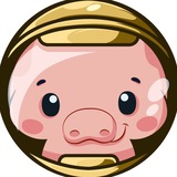 Pig Token Announcement