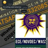 NOVDEC 2026
