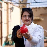 آموزش گامبهگام خلق آرزوها
