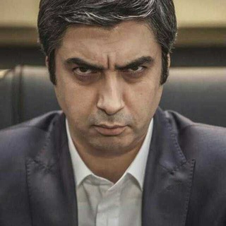 Qashqirlar makoni 🐺