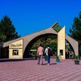 دانشگاه بین المللی امام خمینی (ره)