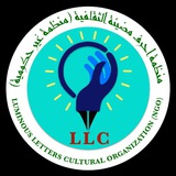 LLC organization 🟩