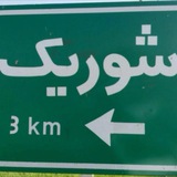 شوریک نیوز