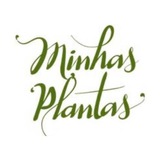 Carol Costa - Minhas Plantas