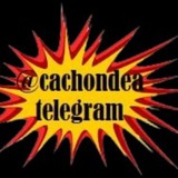 CANAL CACHONDEO VIDEOS DIARIOS DE HUMOR MEMES, MUCHA GUASA Y DIVERSIÓN. RISAS GARANTIZADAS 🤣 <i class="emoji" style="background-image:url('//telegram.org/i