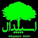 اسپیدال