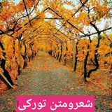 شعرومتن تورکی
