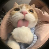π¨πͺππππ£-π‘π€π«π π¨π©πππ ππ§π¨
