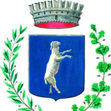 Comune di Borgosatollo