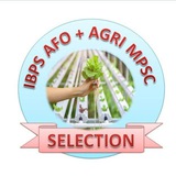 SO AFO EXAM
