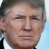 Donald Trump Team