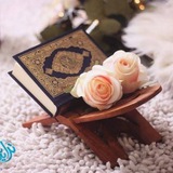 💐 في صحبة رفيق العمر 💐