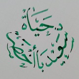 قناة د.حياة سعيد باأخضر