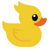 Donald News