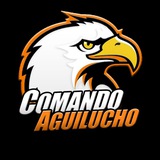 COMANDO AGUILUCHO (fanáticos de aguilas del zulia )