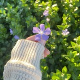 آنت لُِي. ♡