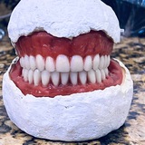 DENTAL STUDENT (1/2/3) ๐ฆท