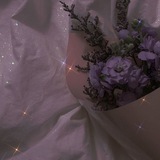 • أَمـَـارلـِــسٰ ᥫ᭡