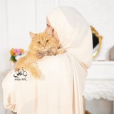 أثَرُ النَبَإٍ 🪽 .