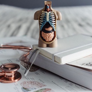الصحة عامة/ تثقيف وتعزيز صحيّ 👨🏻⚕️ <i class="emoji" style="background-image:url('//telegram.org/img/emoji/40/F09F91A9F09F8FBBE2808DE29