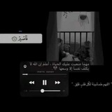 حالات واتساب، فديوهات تيك توك.