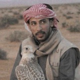 محمد بن فطيس