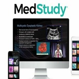 MedStudy Videos Medquest Videos 2022