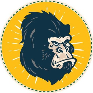 Ape O'Clock Launch Announcements