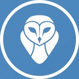 🦉 𝕆𝕎𝕃 𝔸ℕ𝕀𝕄𝔸𝕋𝕀𝕆ℕ | انیمیشن