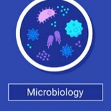 Microbiology courses