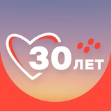 Лизинговая компания CARCADE
