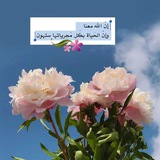 بسمة أمل🌺🍃