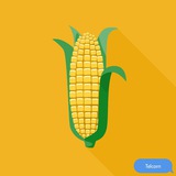 TELCORN
