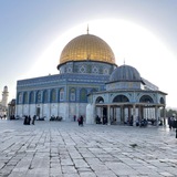 اخبار المثلث اول باول 🇵🇸 برطعه عرعره عاره كفرقرع ام الفحم