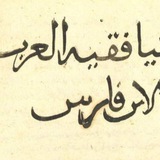 فَقيهُ العَرَب