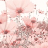 إيجابيّات🌸
