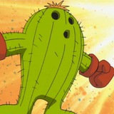 Cacti Trades 🌵